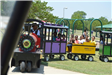 Kids Riding on a Train Ride
