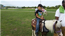 Boy Sitting on a Pony
