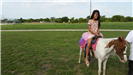 Girl Sitting on a Pony