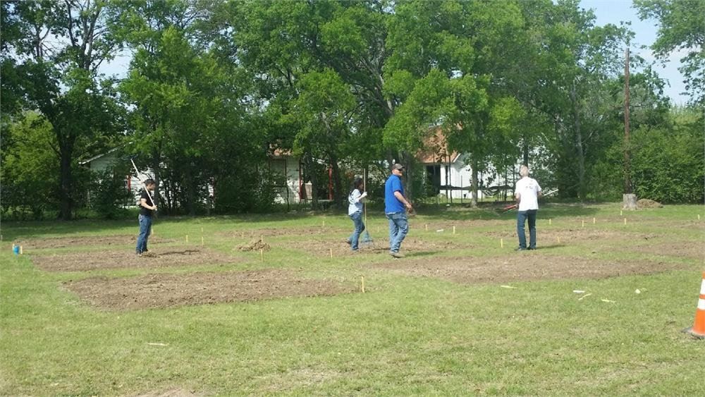 People Working on the Garden
