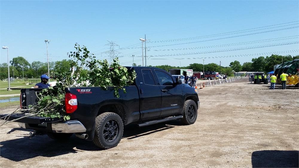 Truck Loaded with Brush