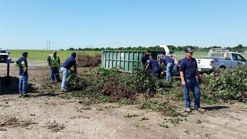 Men Putting Brush in the Garbage