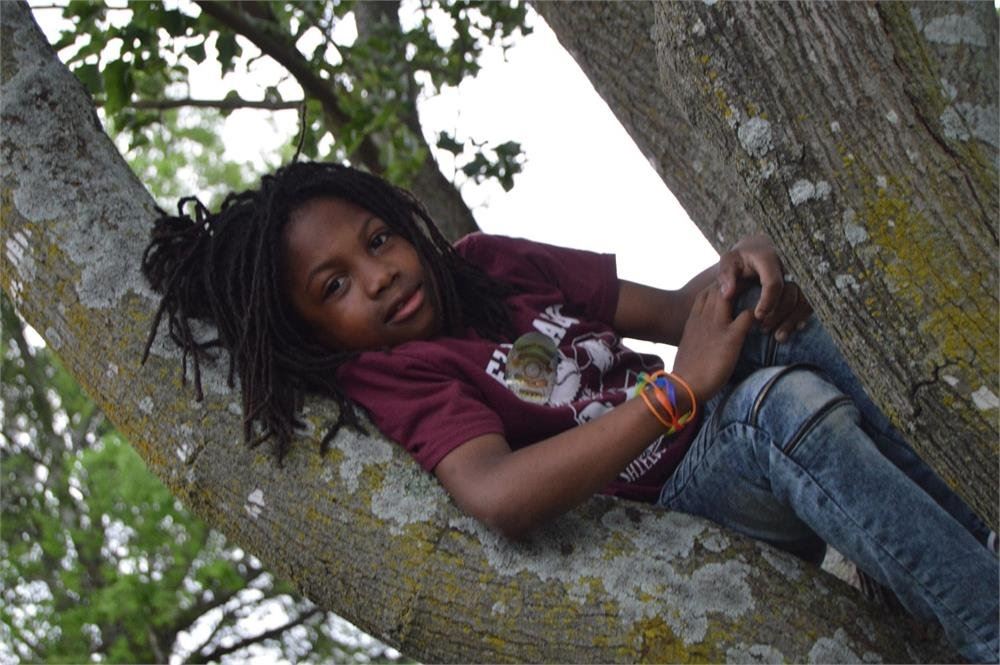 Small Child in a Tree