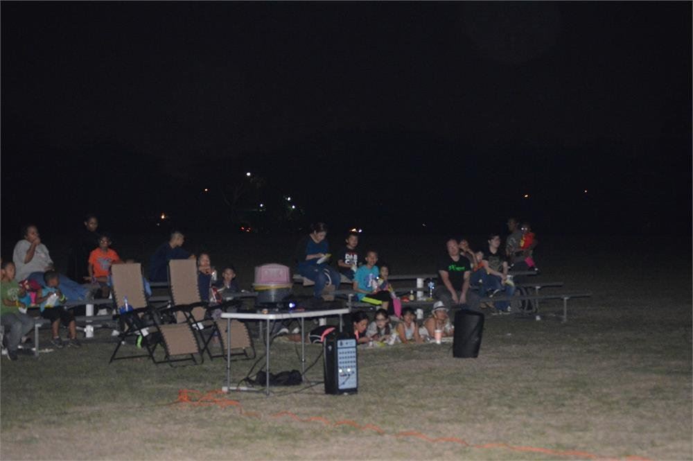 Families Watching a Movie in the Park