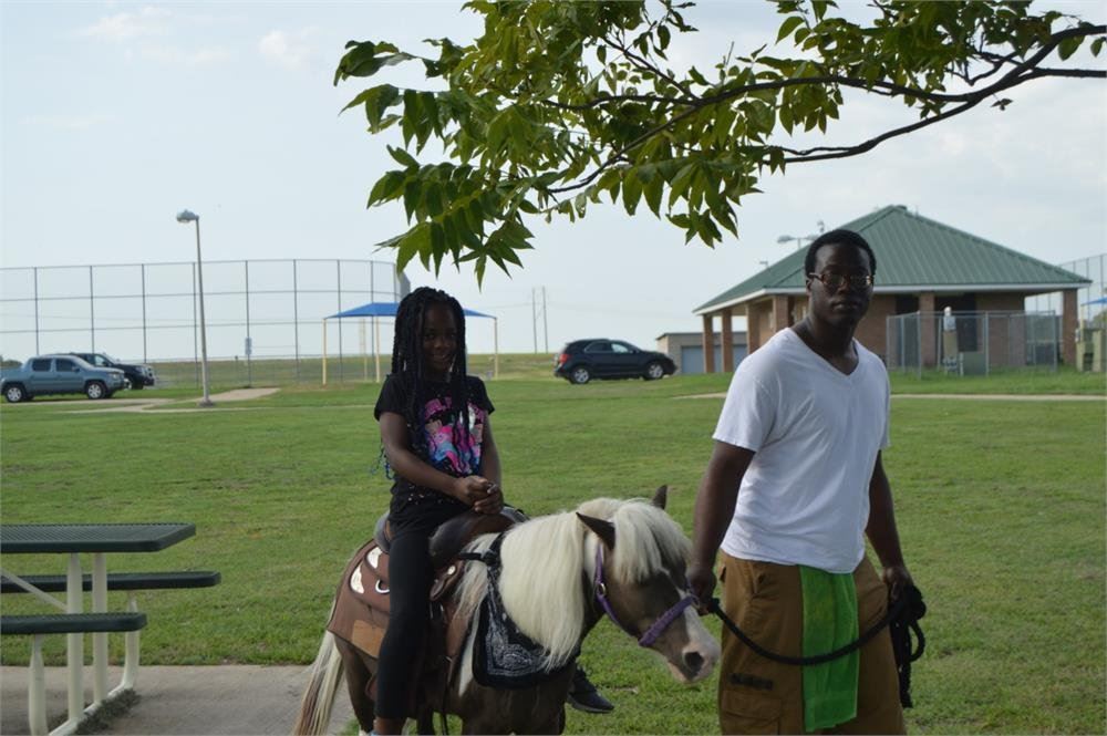 Young Girl Riding a Pony