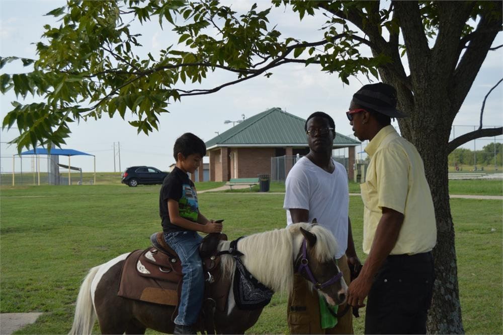 Young Boy Riding a Pony 2