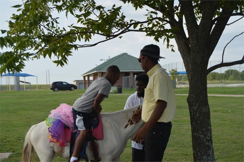 Young Boy Riding a Pony