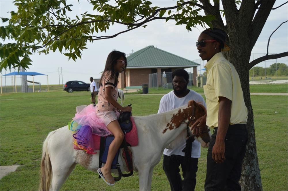 Young Girl Riding a Pony 2